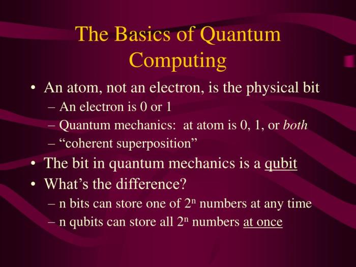 Quantum computing basics